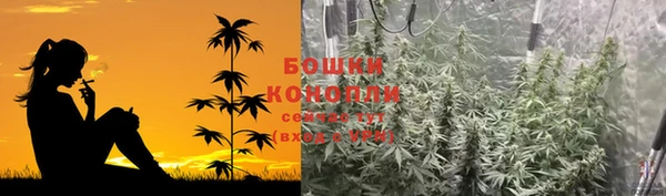 СК Богородицк
